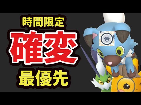 【ポケモンGO】このあと注目！突然〇時間だけ黄昏イワンコレイド大量出現！でも狙えるの今日だけ？明日の限定準備＆さよなら〇〇