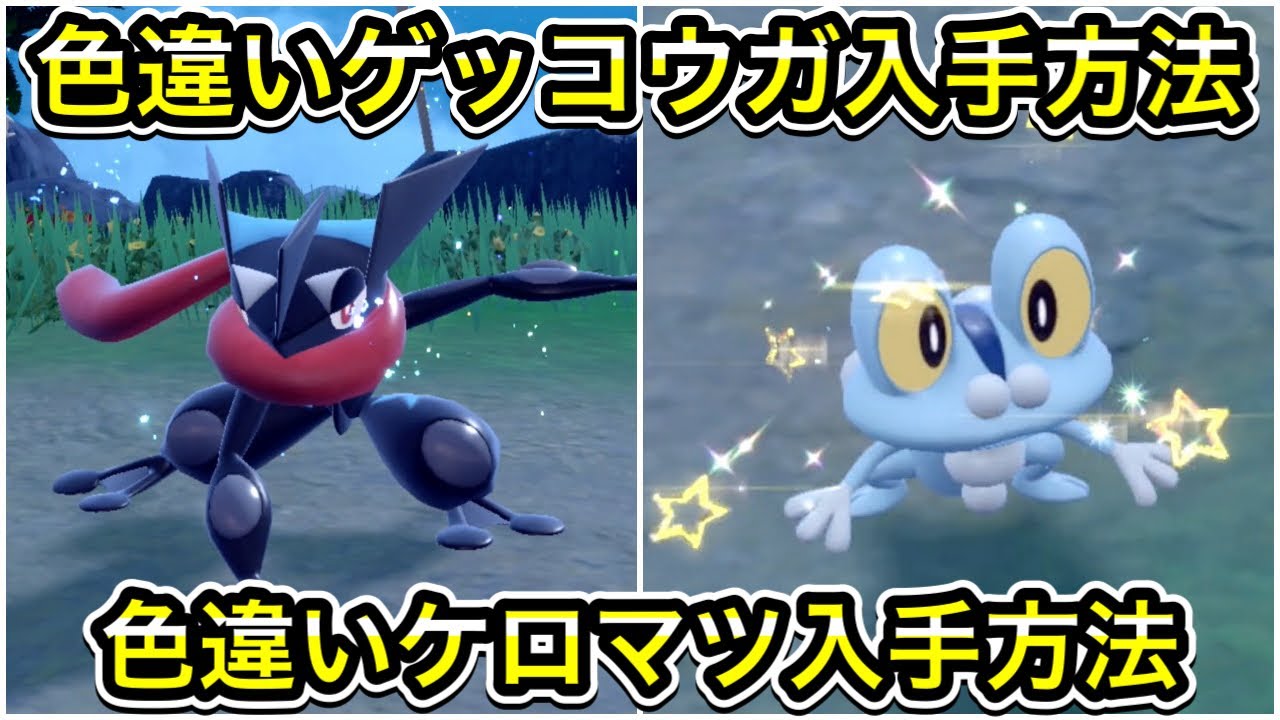 【ポケモンSV】色違いゲッコウガ入手方法！色違いケロマツの入手方法