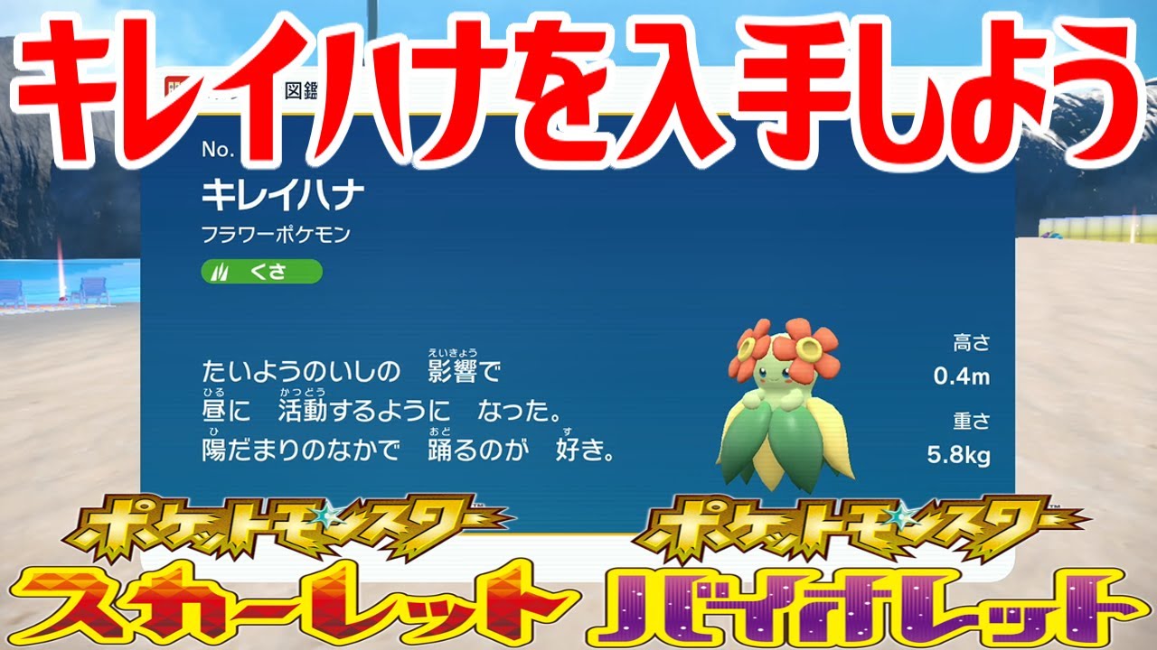【ポケモンSV】キレイハナを入手しよう【ポケットモンスター スカーレット・バイオレット ゼロの秘宝 藍の円盤】Pocket Monsters