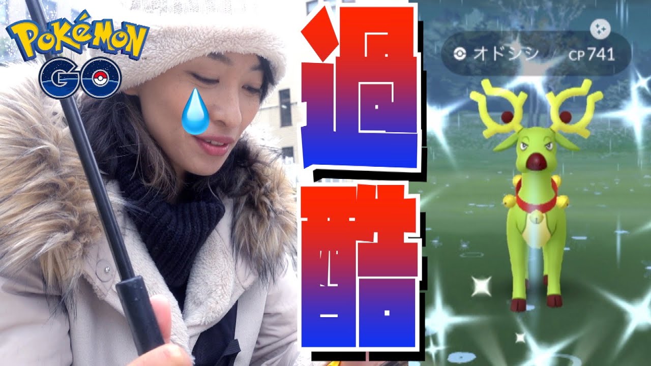 色違いのオドシシが出ない？！2019年最後の遠征は徳川家康とまさかの過酷雨ロケでした。【ポケモンGO】