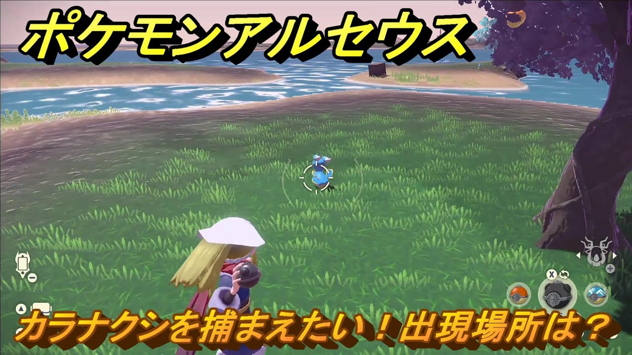 ポケモンアルセウス　カラナクシを捕まえたい！出現場所は？　＃１０８　【Pokémon LEGENDS アルセウス】
