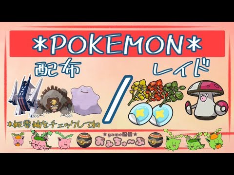 最後の２パッチ🍄🔴交換「色ブリジュラス」色ガチグマ[レシラムGO(通)][通常メタモン6v/A0/S0/]「Pokémon」「ポケモンSV」『violet』2024年1月6日