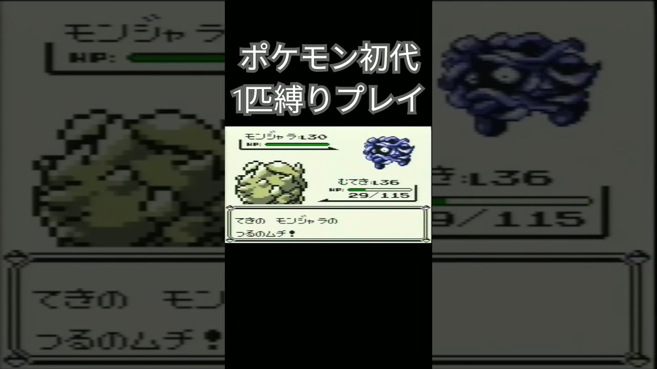 【ポケモン初代】ポケモン初代1匹縛りプレイ!!サイホーンver【縛りプレイ】#ポケモン初代 #縛りプレイ #サイホーン #サイドン #ゲーム実況