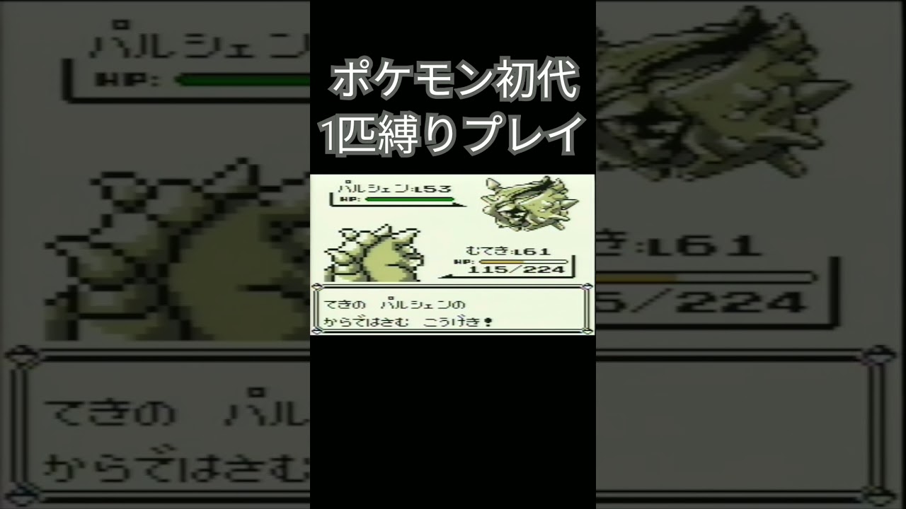 【ポケモン初代】ポケモン初代1匹縛りプレイ!!サイホーンver【縛りプレイ】#ポケモン初代 #縛りプレイ #サイホーン #サイドン #ゲーム実況