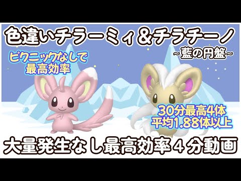 藍の円盤 色違いチラーミィ＆チラチーノ最高効率4分まとめ 30分最高4体平均1.88体以上#ポケモンsv #最高効率 #色違い #チラーミィ #チラチーノ #ピクニックなし #大量発生なし #藍の円盤