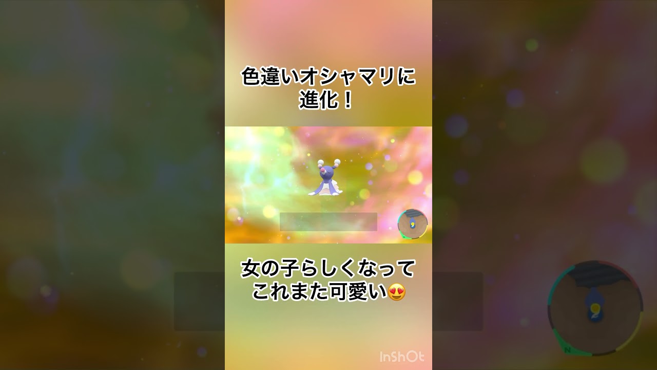 【ゼロの秘宝/藍の円盤】　色違いアシマリ→色違いオシャマリ→色違いアシレーヌに進化！　【ポケモンSV/PokemonSV】