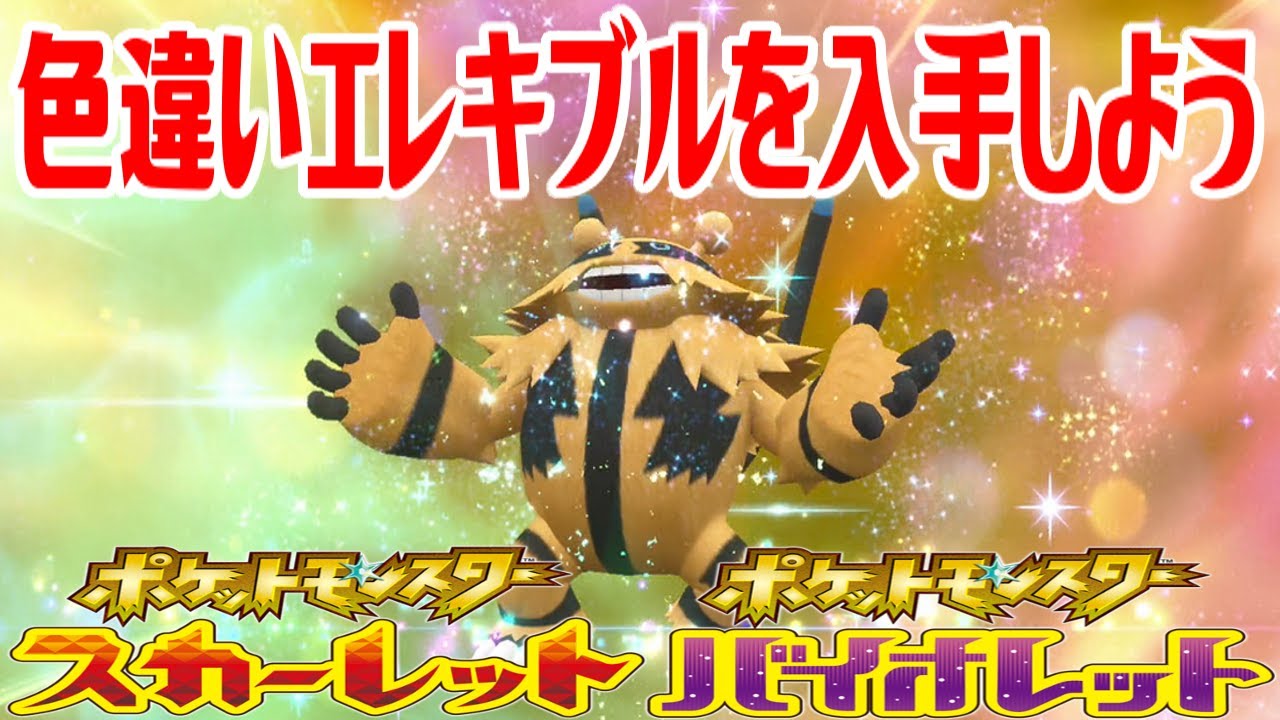 【ポケモンSV】色違いエレキブルを入手しよう 進化入手【ポケットモンスター スカーレット・バイオレット ゼロの秘宝 藍の円盤】Pocket Monsters