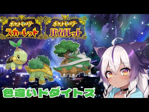 【ポケモンSV】色違いナエトル → ハヤシガメ → ドダイトス【ポケットモンスタースカーレットバイオレット】