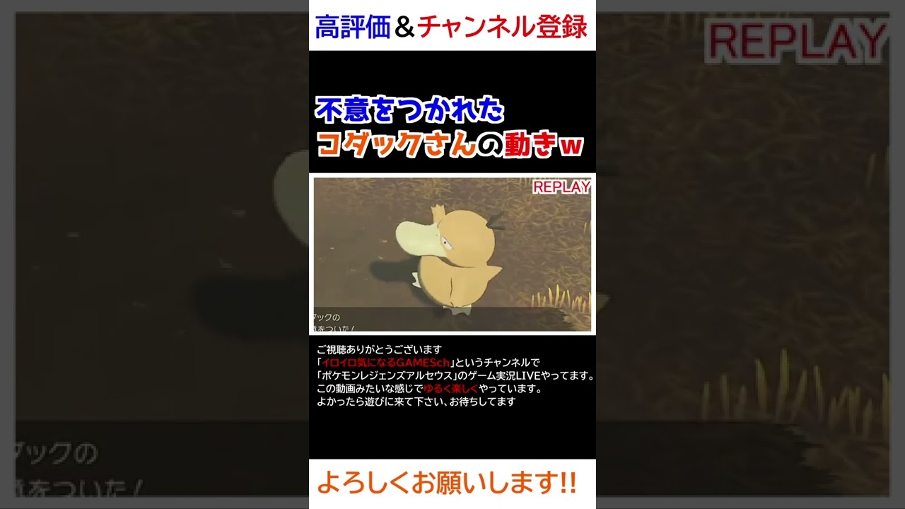 不意をつかれたときのコダックさんの動きｗｗｗ【Pokémon LEGENDS アルセウス】【寝顔ハンター】