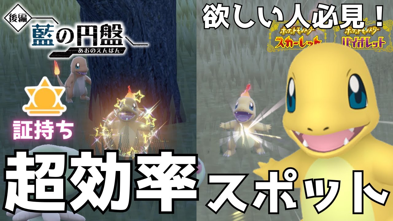 【５分で解説】色違いヒトカゲ欲しい人必見！✨超効率スポットで色証GET