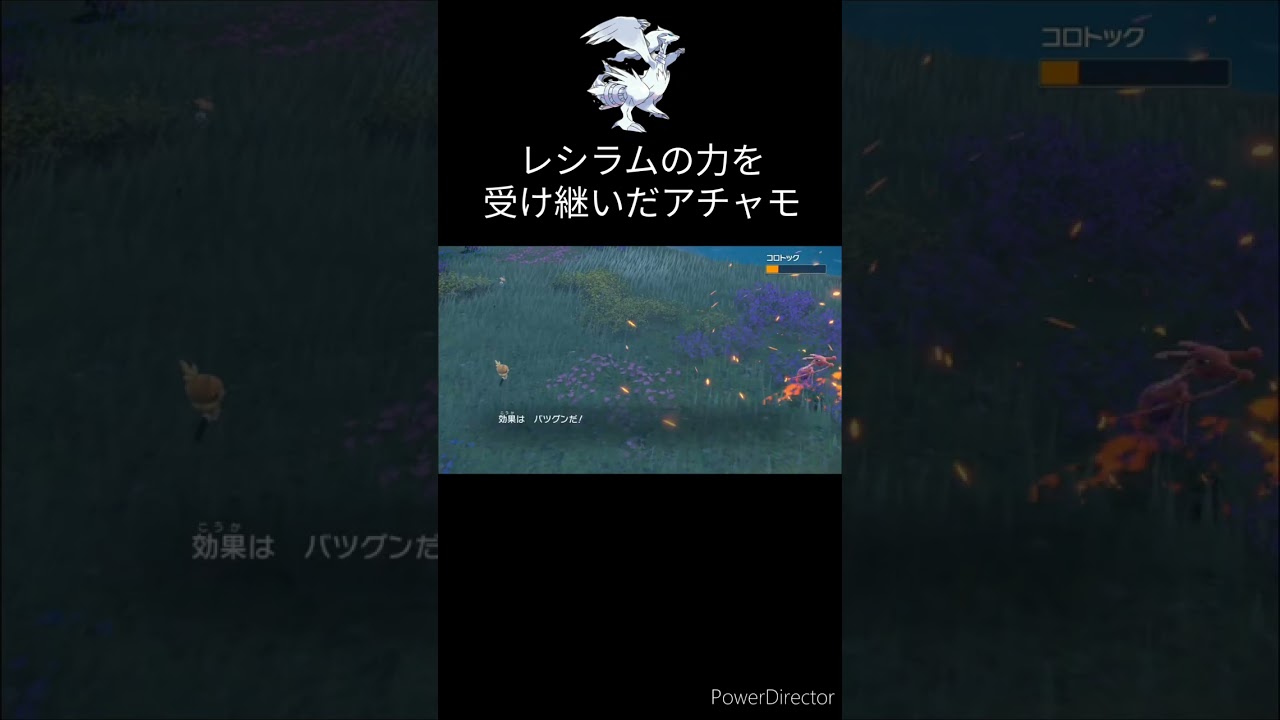 【朗報】アチャモ、遂に伝説の炎技、クロスフレイムを習得してしまう【ポケモンsv】