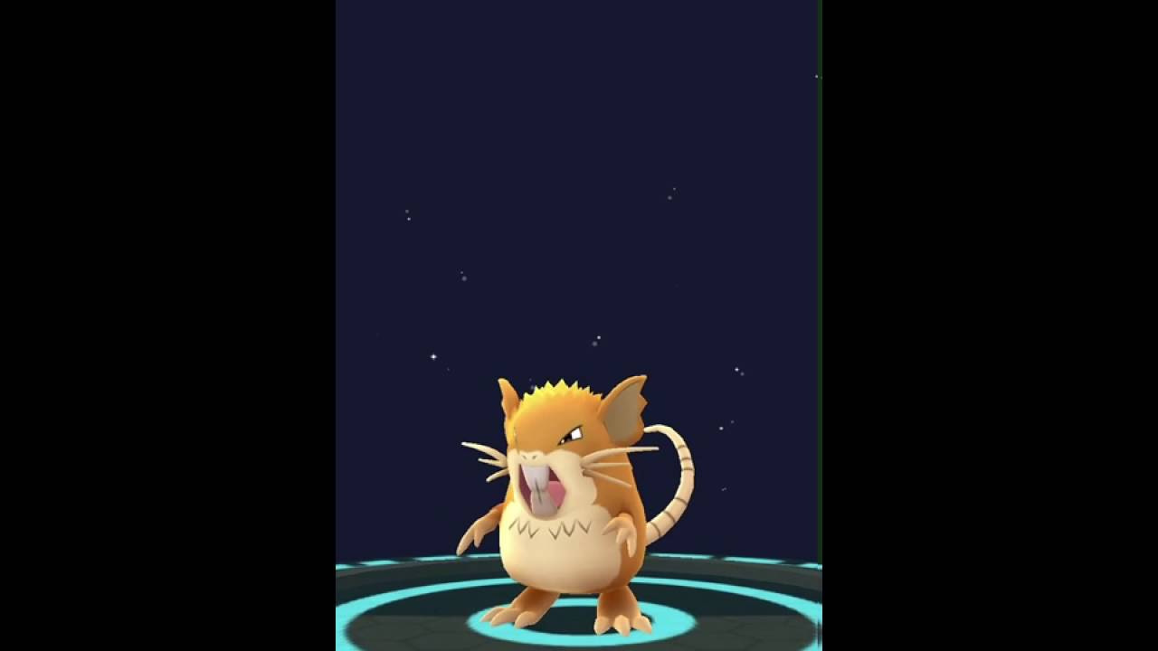 【ポケモンGO】進化！！！！（コアラ→ラッタ）かっこいい〜！！！！