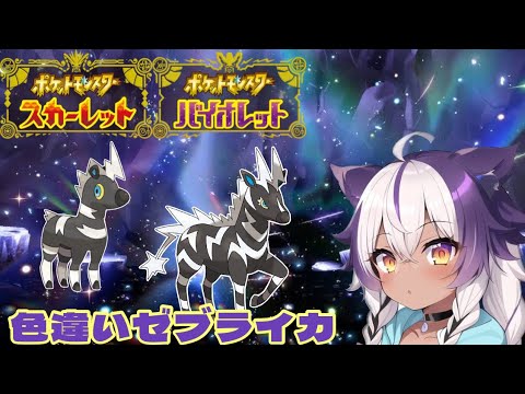 【ポケモンSV】色違いシママ → ゼブライカ【ポケットモンスタースカーレットバイオレット】