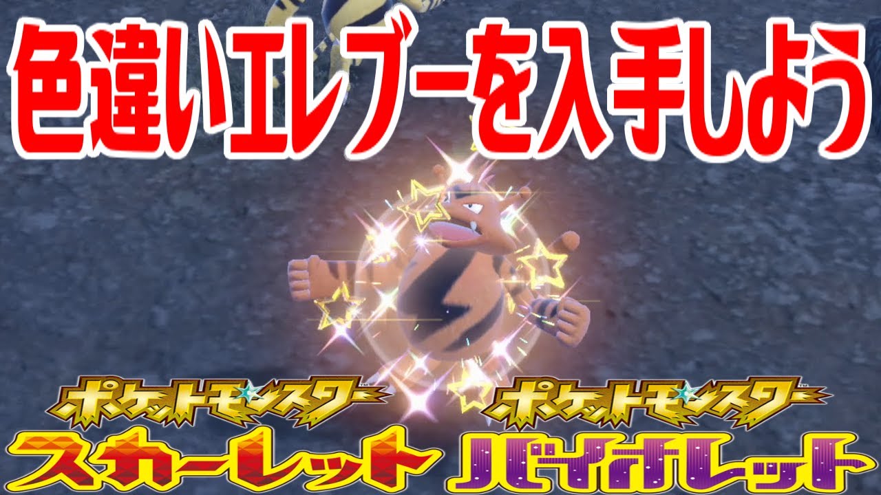 【ポケモンSV】色違いエレブーを入手しよう【ポケットモンスター スカーレット・バイオレット ゼロの秘宝 藍の円盤】Pocket Monsters