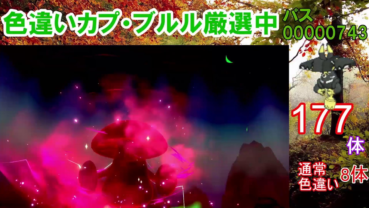 【ポケモン剣盾】試行回数ワースト記録更新中。。。カプ・ブルル色違い以外の色違いが出たら即配布！カプ・ブルル色厳選【ダイマックスアドベンチャー】