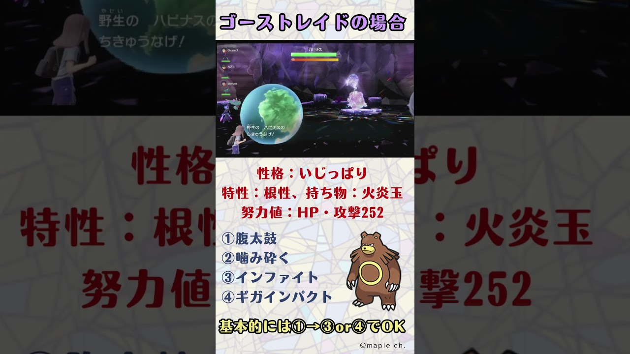 ハピナスレイドはリングマ1体で大丈夫！調整・立ち回りざっくり解説！【ポケモンSV】 #ポケモン  #ポケモンsv  #スカーレット #バイオレット  #pokemon  #tiktok