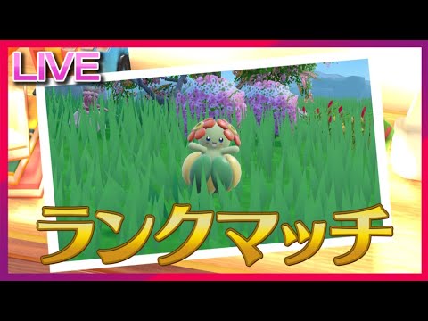 キレイハナあるある：気づいたら相手降参させてる【ポケモンSV】