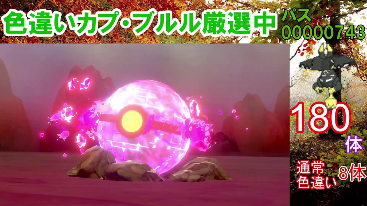 【ポケモン剣盾】試行回数ワースト記録更新中。。。カプ・ブルル色違い以外の色違いが出たら即配布！カプ・ブルル色厳選【ダイマックスアドベンチャー】