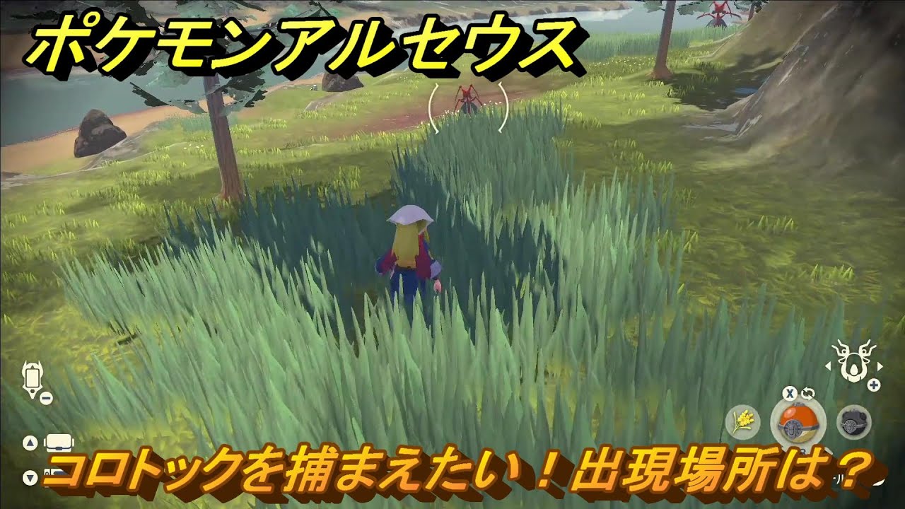 ポケモンアルセウス　コロトックを捕まえたい！出現場所は？　＃８０　【Pokémon LEGENDS アルセウス】