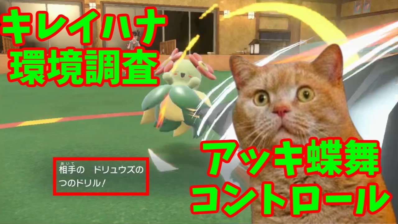 【ポケモンSV】キレイハナと往くパルデア環境調査・アッキ蝶舞炎テラスキレイハナ【社畜BW広報部活動報告】