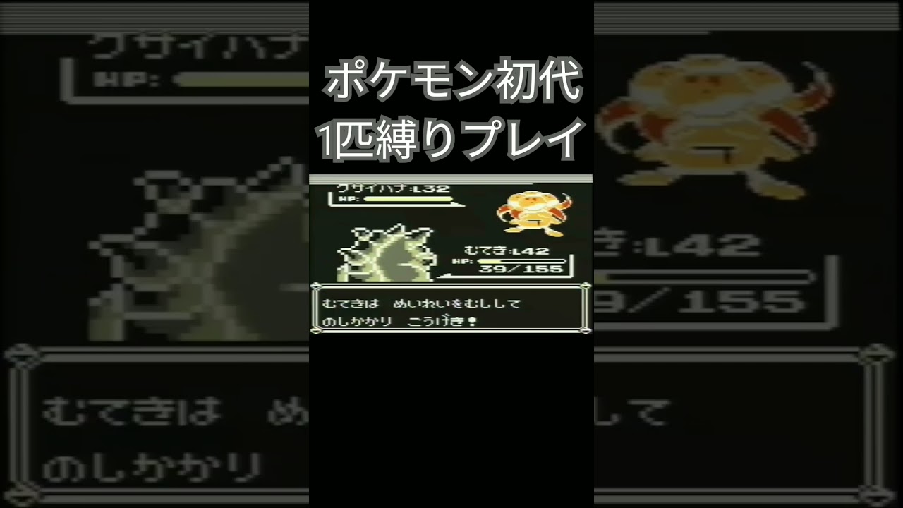 【ポケモン初代】ポケモン初代1匹縛りプレイ!!サイホーンver【縛りプレイ】#ポケモン初代 #縛りプレイ #サイホーン #サイドン #ゲーム実況