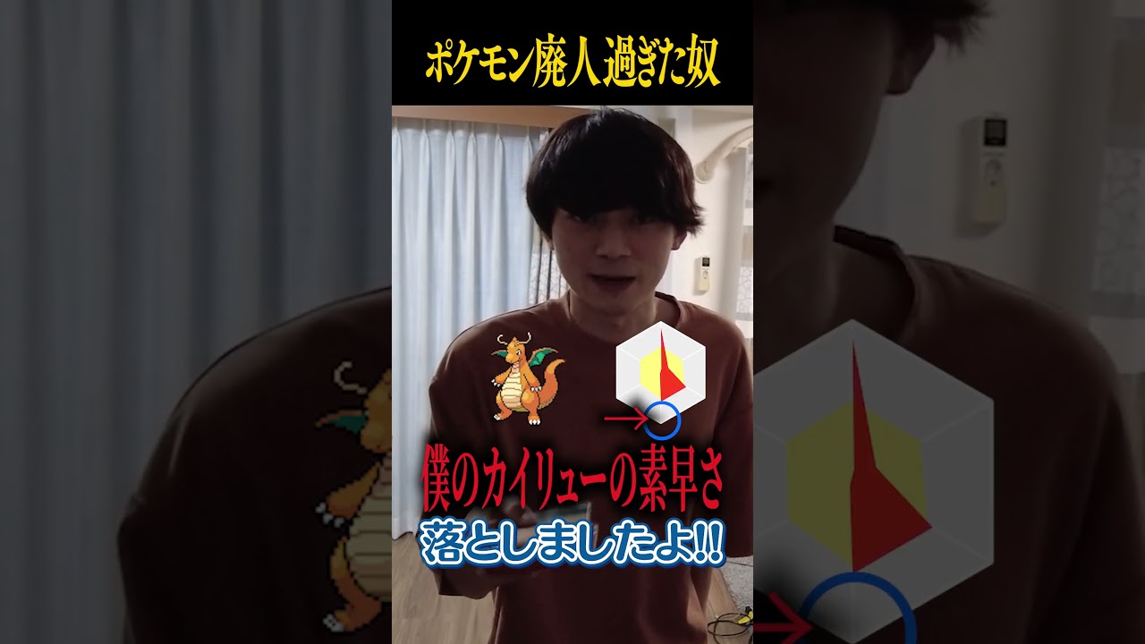 ポケモン廃人過ぎた奴の末路