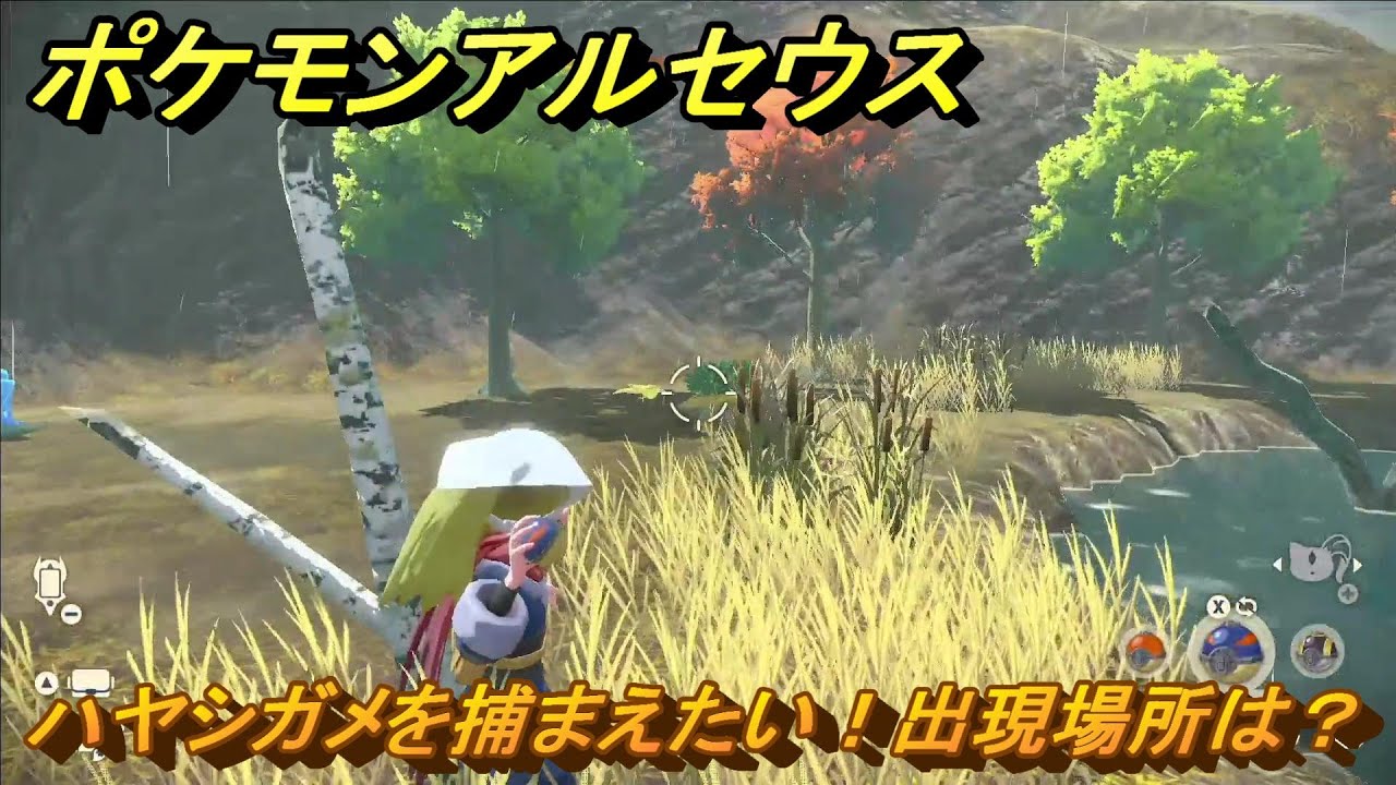 ポケモンアルセウス　ハヤシガメを捕まえたい！出現場所は？　＃２１４　【Pokémon LEGENDS アルセウス】