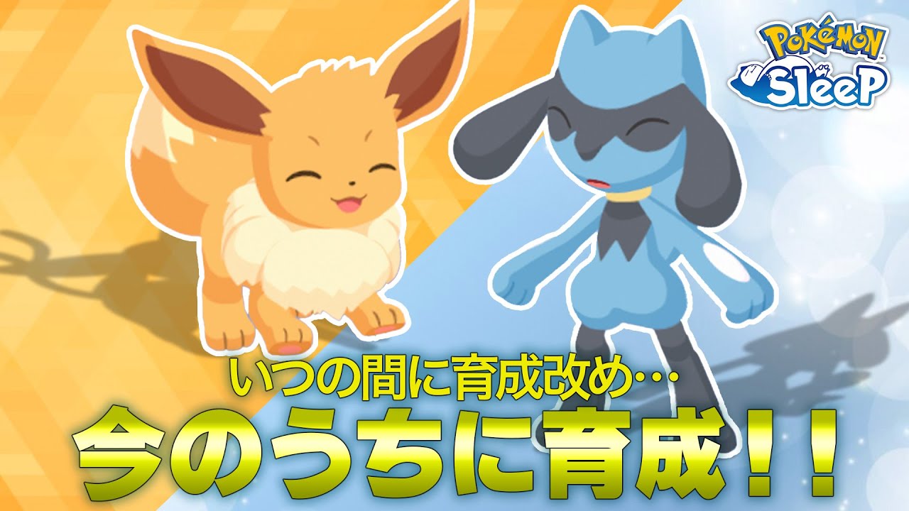 【ポケモンスリープ】ラピスラズリ湖畔に備えて今のうちにエーフィとルカリオを育てていく！！