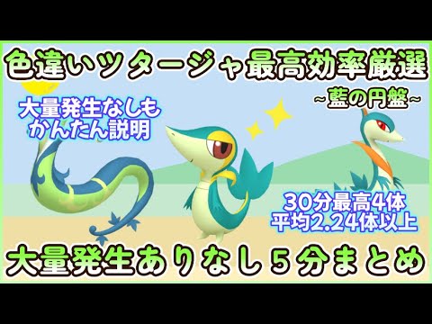 色違いツタージャ最高効率5分まとめ 30分最高4体平均2.24体以上 #ポケモンsv #最高効率 #色違い #ツタージャ ＃ジャノビー ＃ジャローダ #大量発生ありなし説明 #藍の円盤