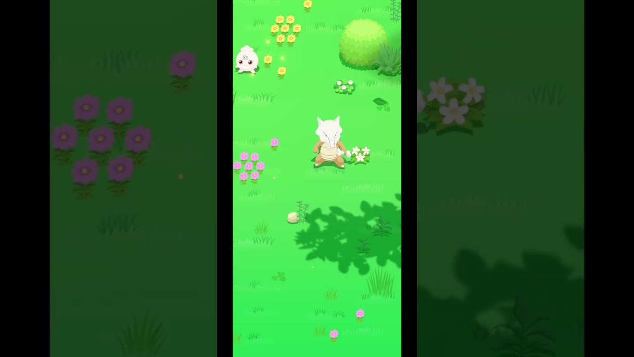 【起床編】ポケモンとすやすやタイム🔆🎍 百六十五睡目