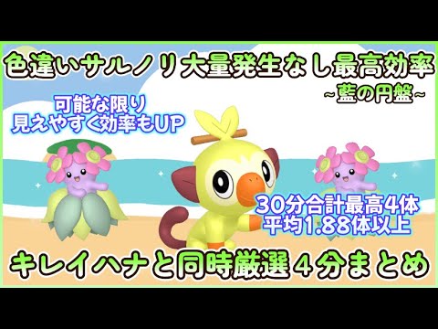 藍の円盤 色違いサルノリ最高効率４分まとめ 30分最高２体平均0.94体以上 #ポケモンsv #最高効率 #色違い #サルノリ ＃キレイハナ ＃バチンキー #ゴリランダー #大量発生なし #同時厳選