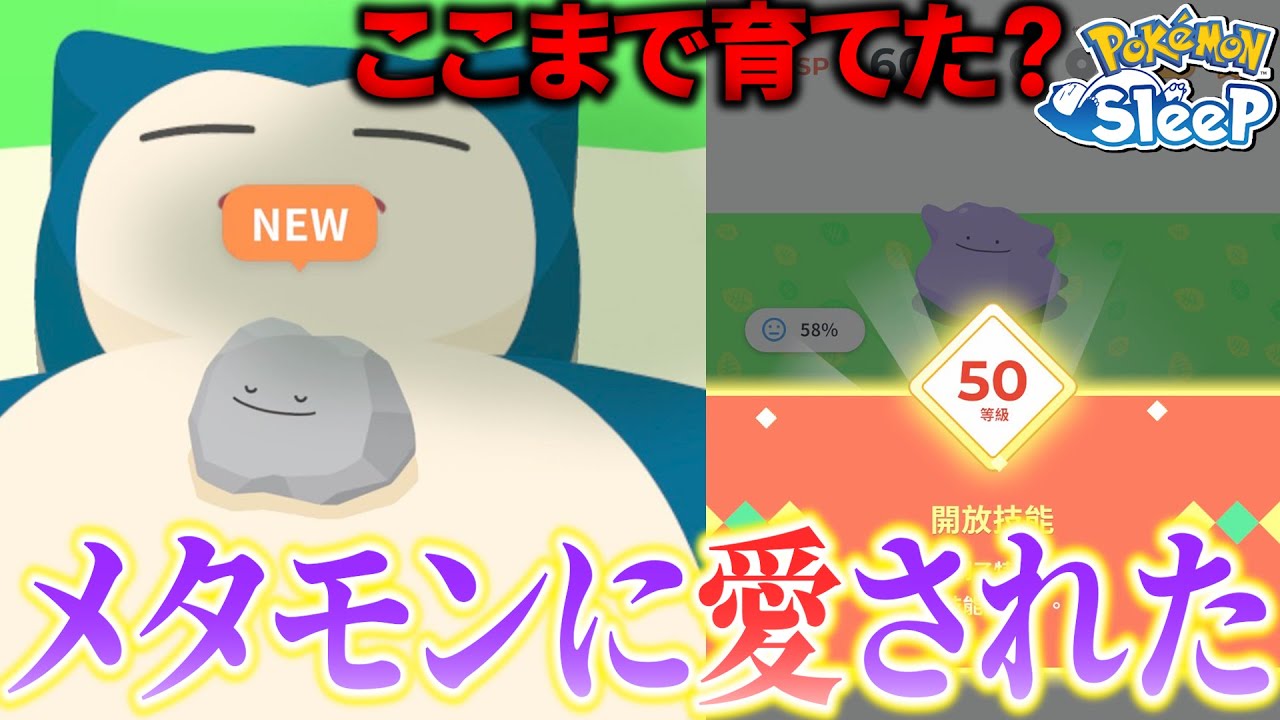 メタモン50レベにしたの”まだ”自分だけと思います！【ポケモンスリープ】