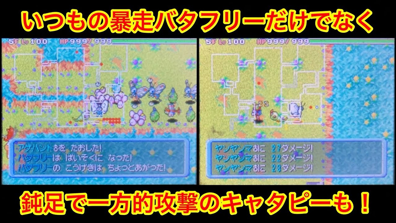 【ポケモンダンジョン時】 暴走バタフリーと一方的攻撃キャタピー！