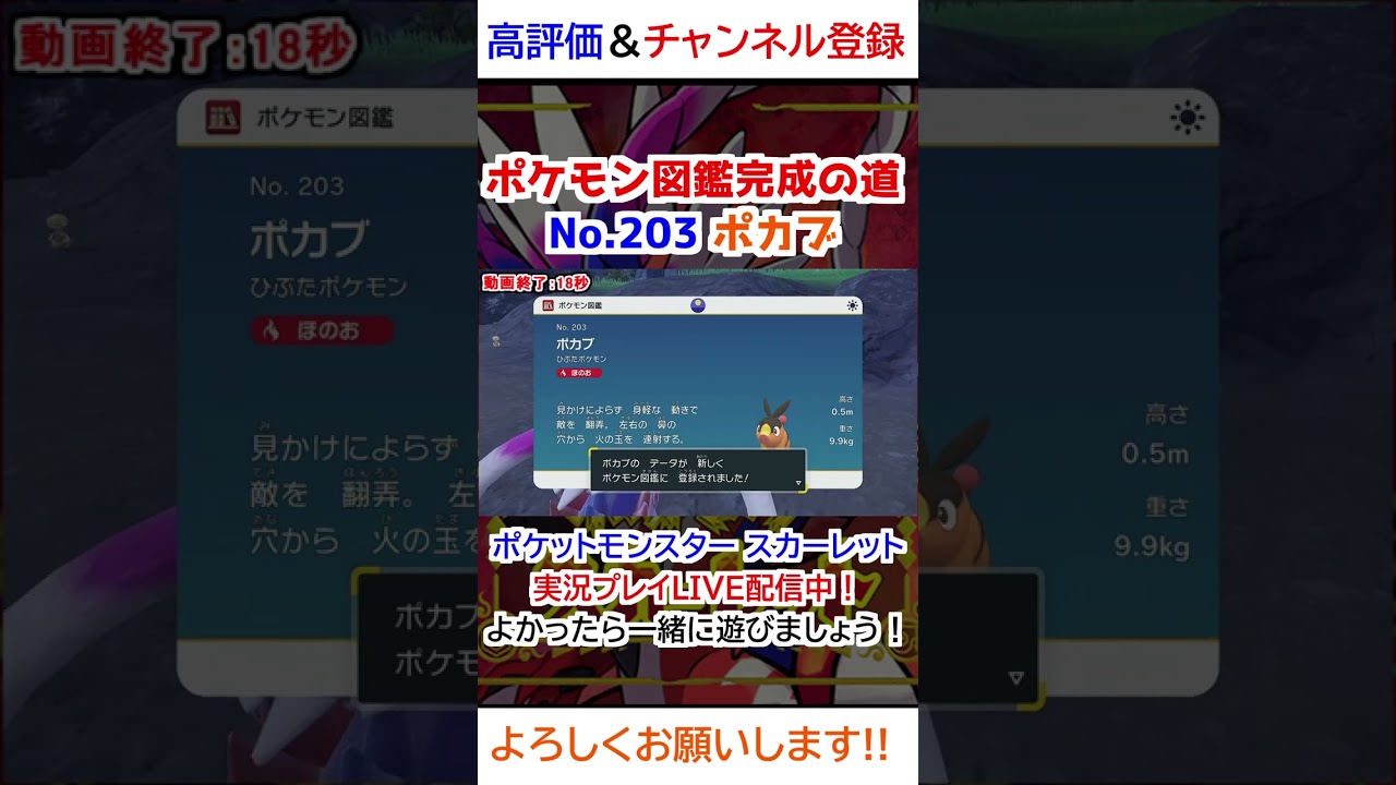 No 203 ポカブ図鑑登録完了！【ポケモンSV】