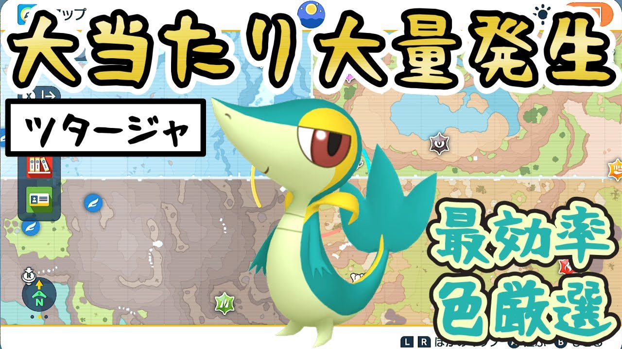 【色違いツタージャ】最大/最小も狙えるおすすめの大量発生スポットをご紹介！あまのじゃくジャローダを色厳選したい方必見【 #ポケモンSV 】