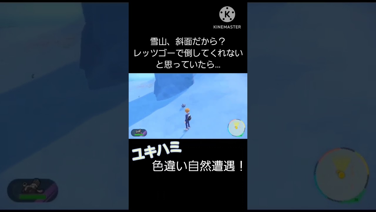 【色違い】ユキハミ自然遭遇！斜面？でなかなかレッツゴーしてくれないと思ったら… #ポケモン #色違い #配信者 #おばさん