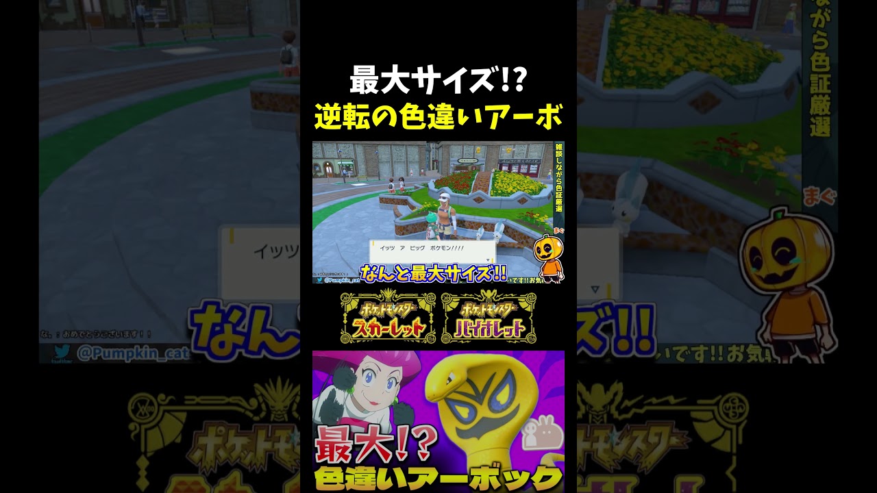 【ポケモンSV】逆転の激レア証!? 色証アーボを厳選してサイズを確認したらまさかの最大サイズ証も持ってたｗｗｗ【ポケモンUSUM】【切り抜き】【色違い厳選】【色違いポケモン】#shorts