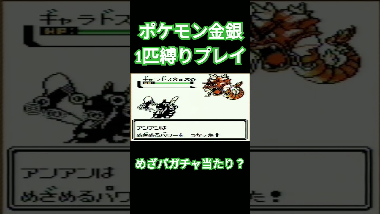 【ポケモン金銀】ポケモン1匹縛りプレイ!!ヤンヤンマver【縛りプレイ】#ポケモン金銀 #縛りプレイ #ヤンヤンマ #ゲーム実況