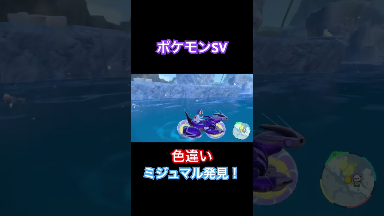 【ポケモンSV】色違いミジュマル発見！