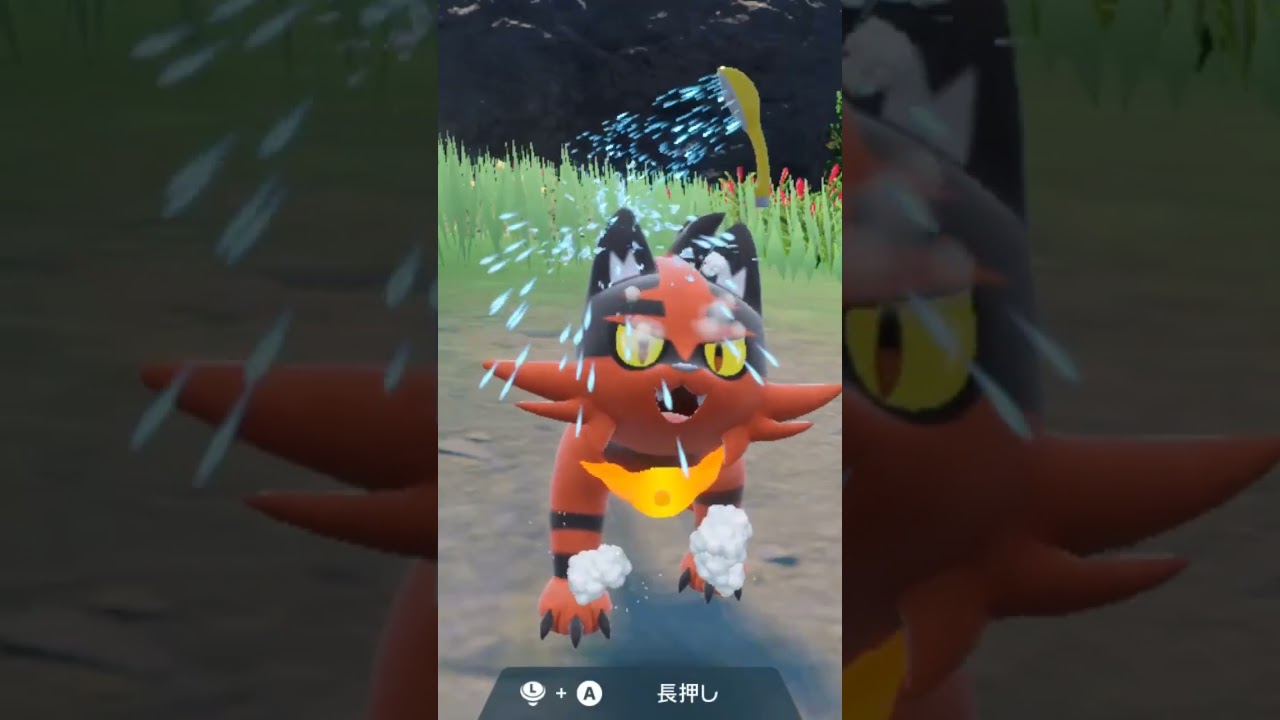 ニャヒート Torracat【ポケモンsv】