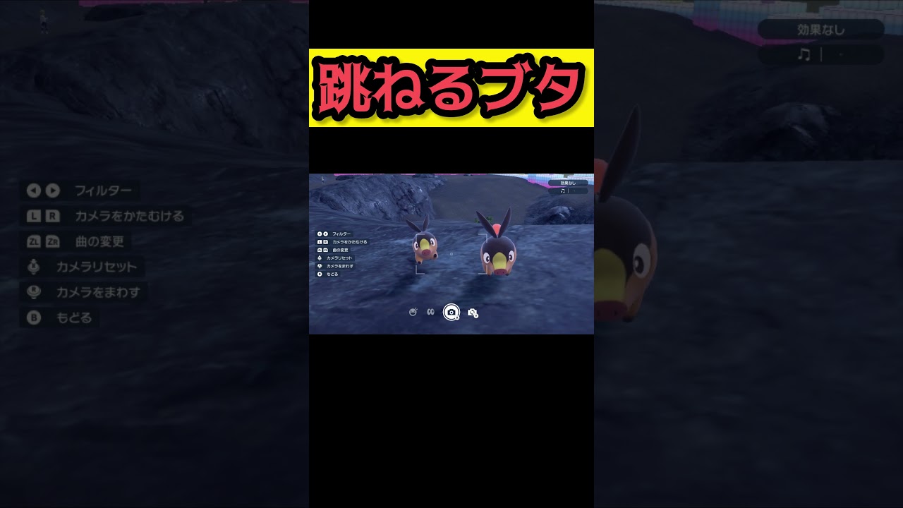 ポカブさんがこっちを見てる【ポケモンSV ポケモンスカーレット/バイオレット】 #shorts #pokemonscarlet  #pokemonviolet