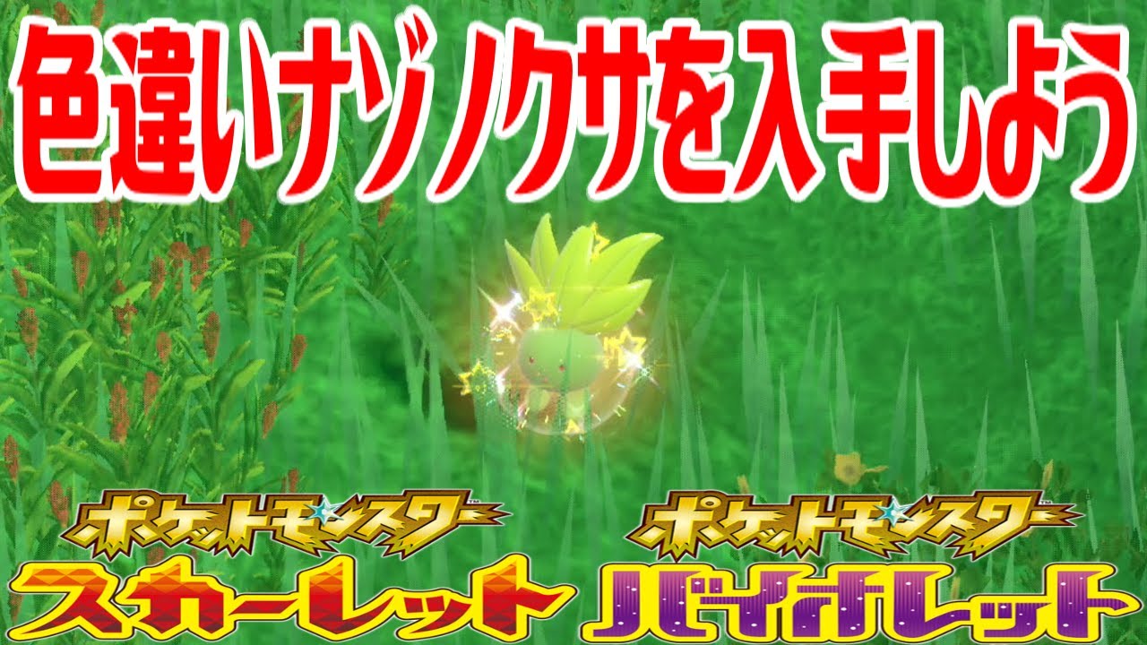 【ポケモンSV】色違いナゾノクサを入手しよう【ポケットモンスター スカーレット・バイオレット ゼロの秘宝 藍の円盤】Pocket Monsters