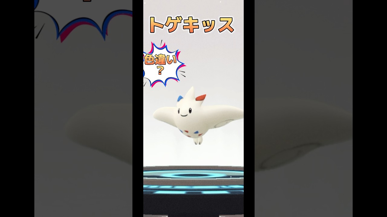 【ポケモンGO】色違い?トゲチック進化！#ポケモンgo #pokemongo #pokémongo #ポケモン