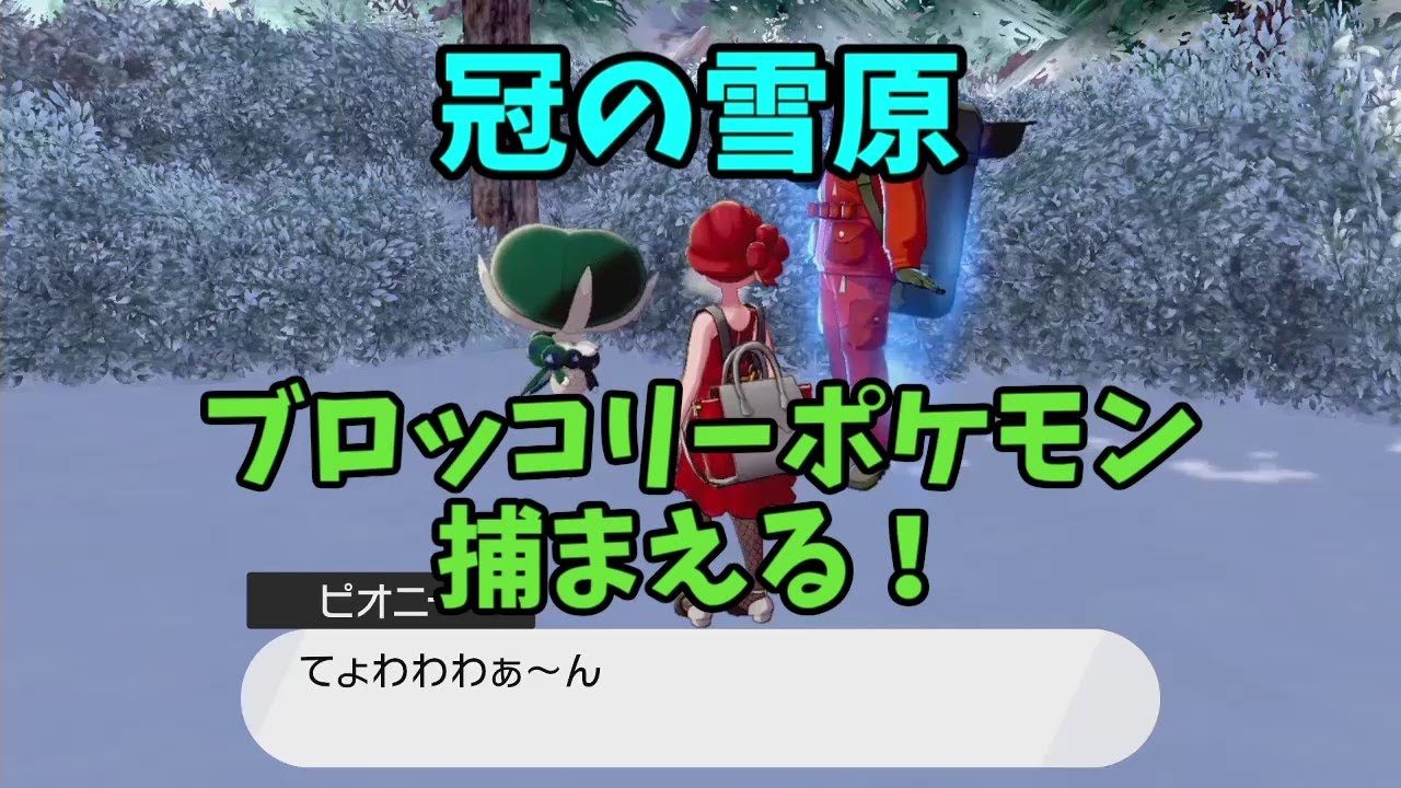バドレックス捕まえる！！！【ポケモン剣盾ストーリー実況】