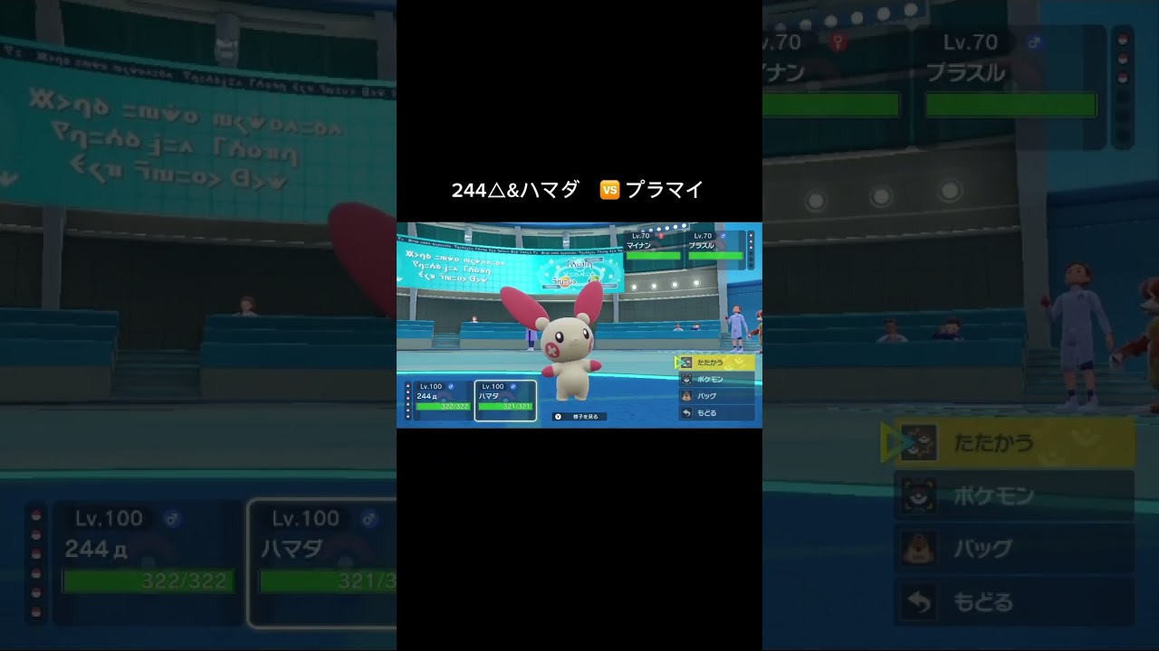 #ポケモンsv #碧の円盤　#タロ　ちゃんとの対決　#プラスル　#マイナン　#ヒスイジュナイパー　　#ヒスイダイケンキ　#newyear2024