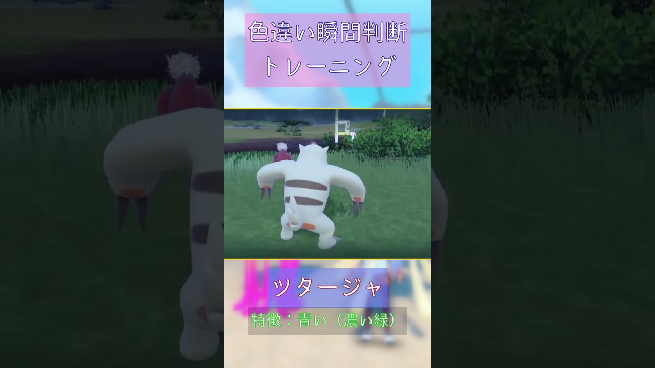 【ポケモンSV】ツタージャ色違い瞬間判断トレーニング #pokemon #shorts