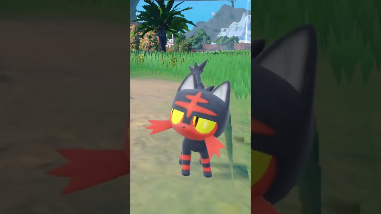 ニャビー Litten【ポケモンsv】