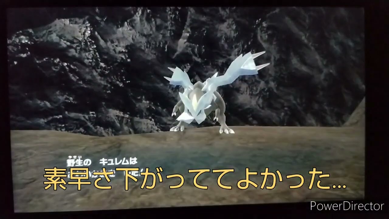 めざポケ　番外編/いつものキノガッサ