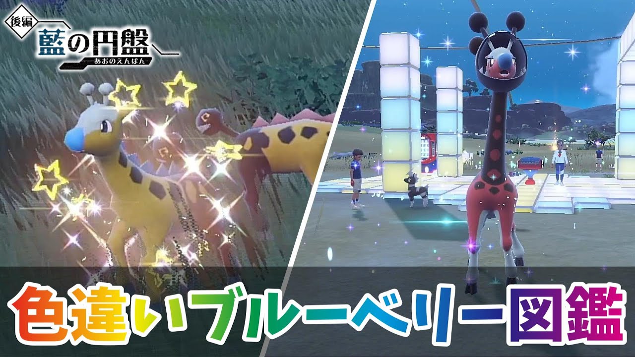 【ポケモンSV】色違いキリンリキ・リキキリン厳選！【色違いブルーベリー図鑑 ＃１１】