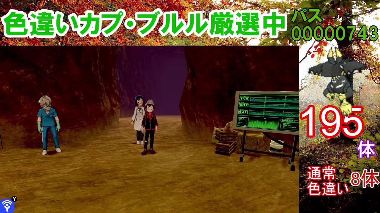【ポケモン剣盾】200回目前。カプ・ブルル色違い以外の色違いが出たら即配布！カプ・ブルル色厳選【ダイマックスアドベンチャー】